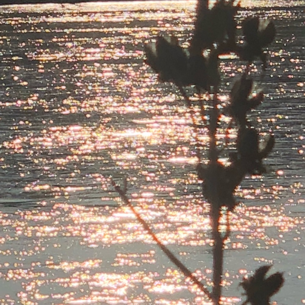 Meet your Posher, Lorraine